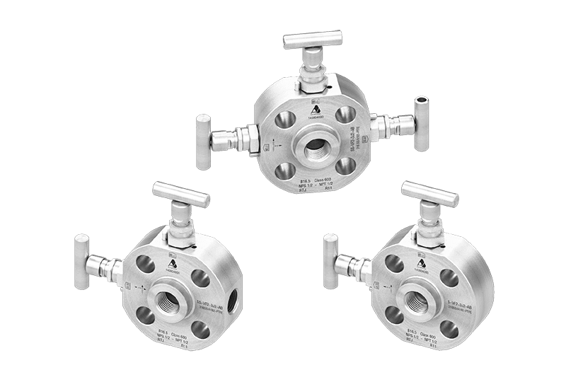 Flanged globe valve